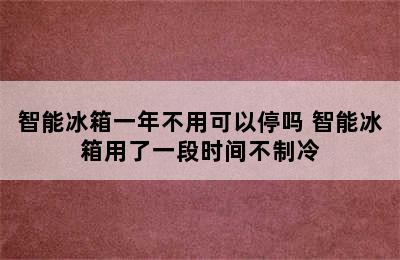 智能冰箱一年不用可以停吗 智能冰箱用了一段时间不制冷